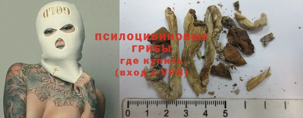 индика Баксан